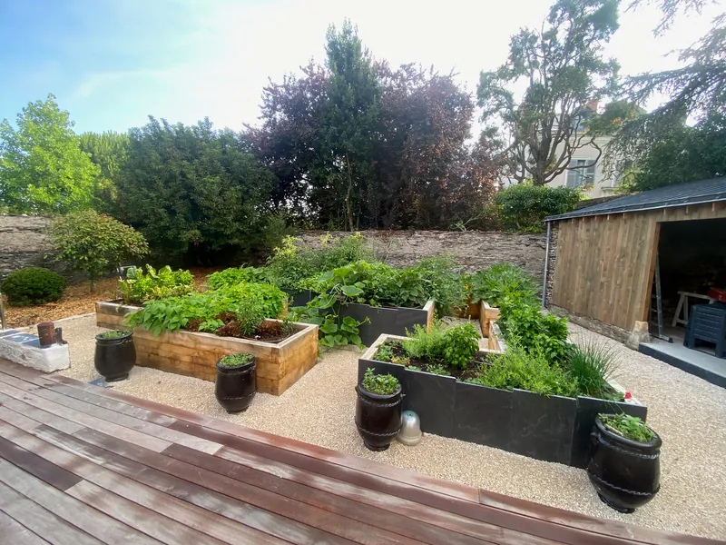 Jardin aménagé avec allée en pavés et massifs végétaux