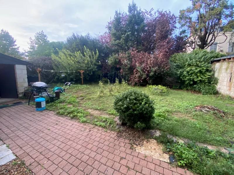 Jardin en friche avec végétation désordonnée avant aménagement