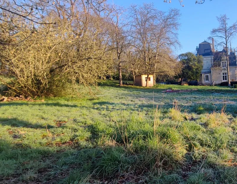 Parc non aménagé avec pelouse brute avant création paysagère