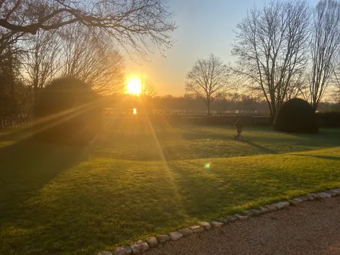 Pelouse parfaitement entretenue au coucher de soleil - entretien jardin Angers